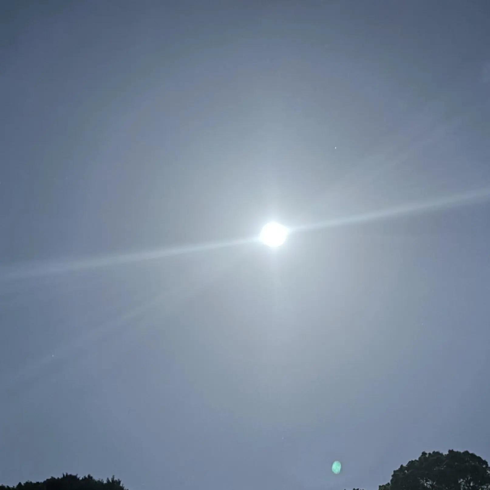 SafeBanjo4011의 さぁ、飲み干して