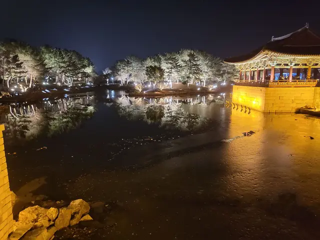 Profile image of 로베