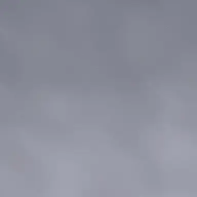 Profile image of BOT