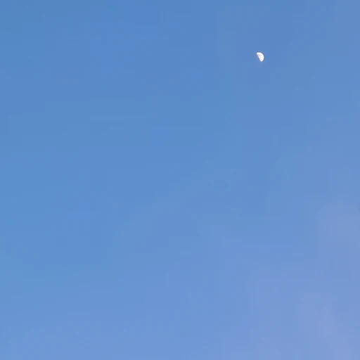 뜰뜰중학교