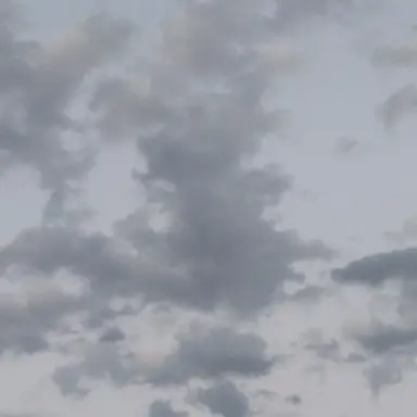 Profile image of ますたぁ