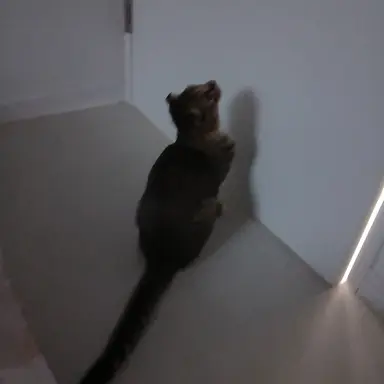 Profile image of 나래이션