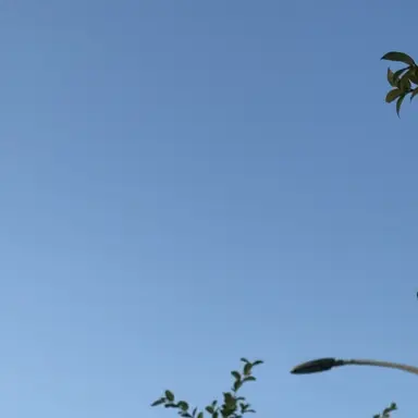 Profile image of 이석민