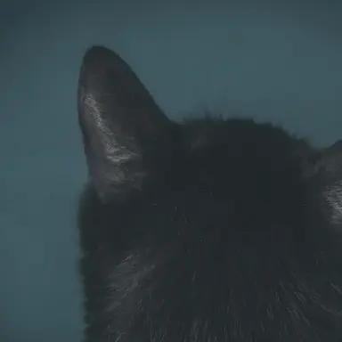 Profile image of 若井 滉斗