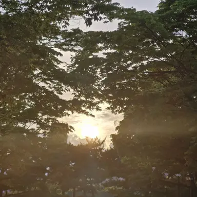 Profile image of 각별
