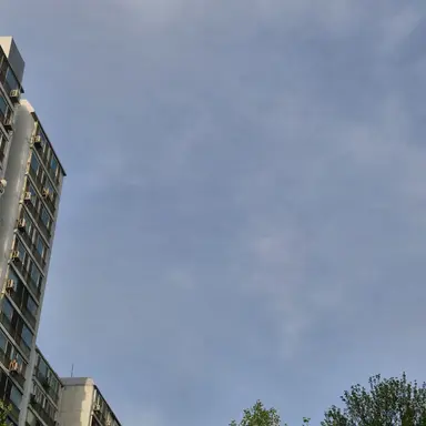 Profile image of 김여우
