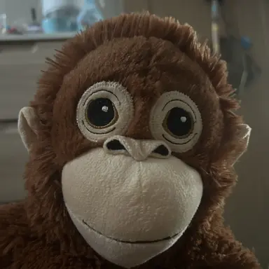 Profile image of 여우