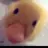 리레볼루션