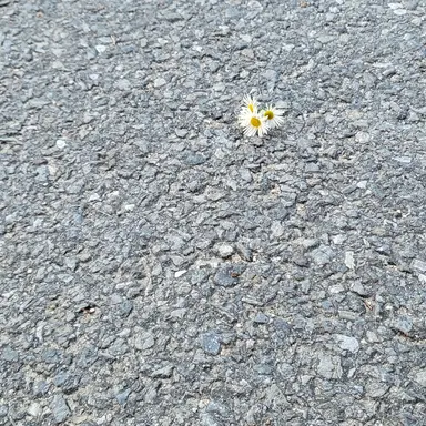 Profile image of 박 덕개