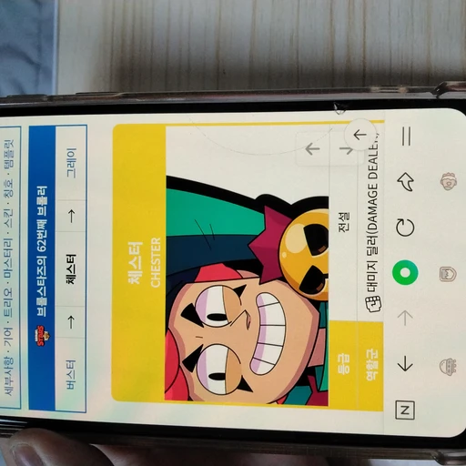 체스터