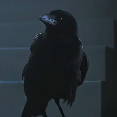 Profile image of Matthew