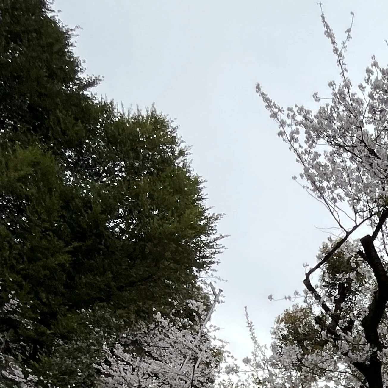 たくや
