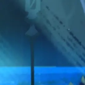 Profile image of 퓨어바닐라 쿠키