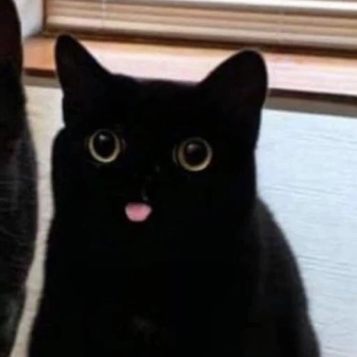 잭