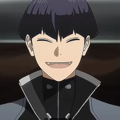 Profile image of 호시나