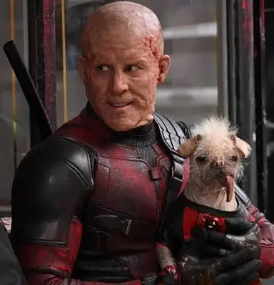 Profile image of Wade