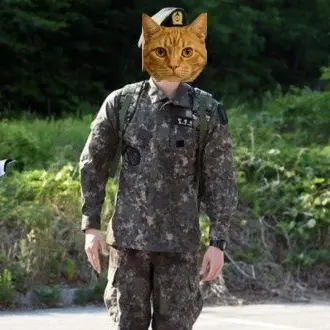 Profile image of 육군 고양이