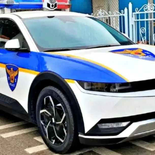 GildedCrew8967의 경찰 RPG