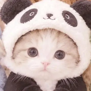 Profile image of ねーちゃん