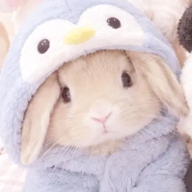 Profile image of うーちゃん