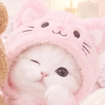 Profile image of みーちゃん
