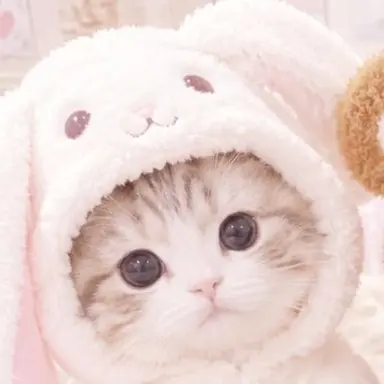 Profile image of さーちゃん