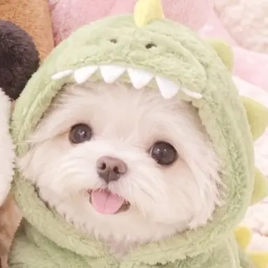 Profile image of きーちゃん