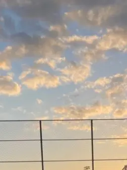 niroLove의 同じ部活の先輩