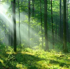 PaleSon6320의 You are an animal