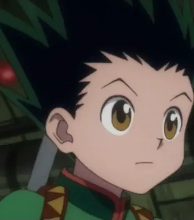 Profile image of Gon Freecss