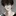 유민재