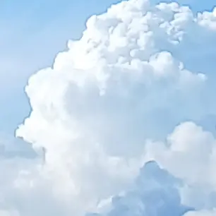 gfurguduf의 메복 입은 불정이