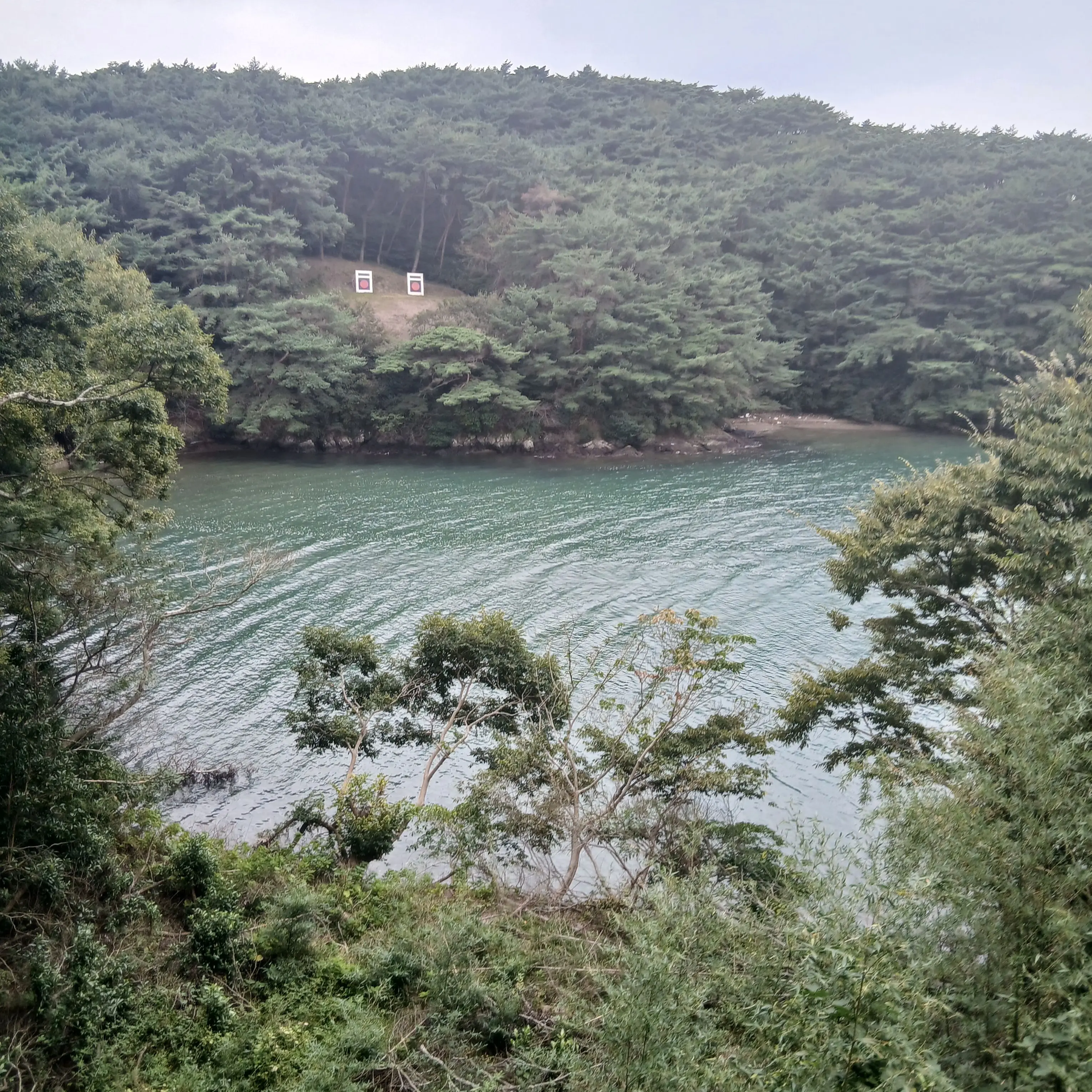 DecentPansy1793의 한태산