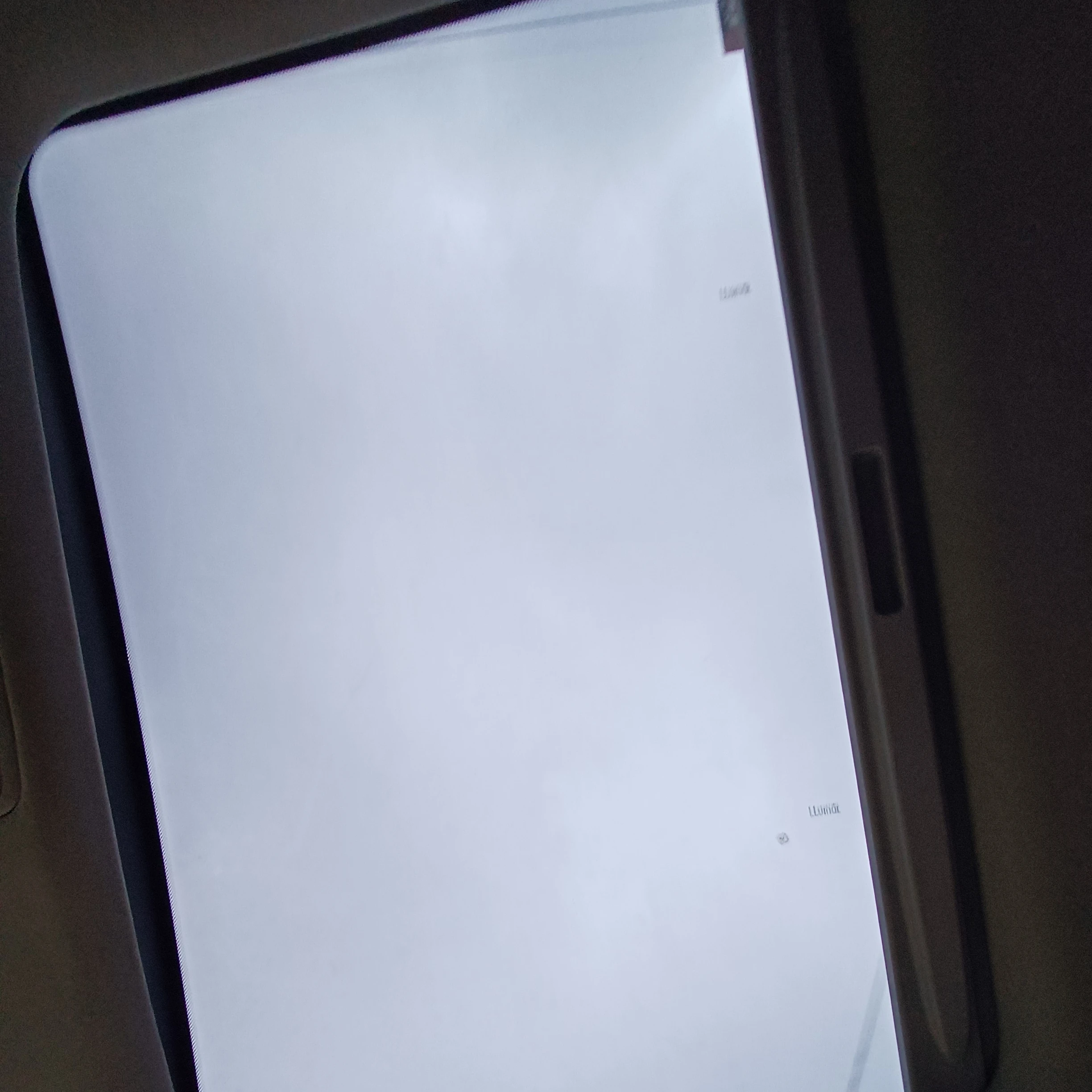 김동현