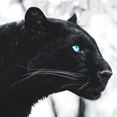 Profile image of 김기태