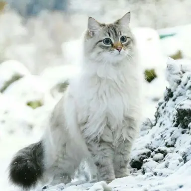 Profile image of 곽지창