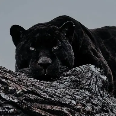 Profile image of 박종건