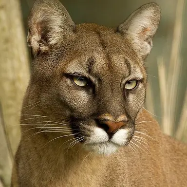 Profile image of 김기명