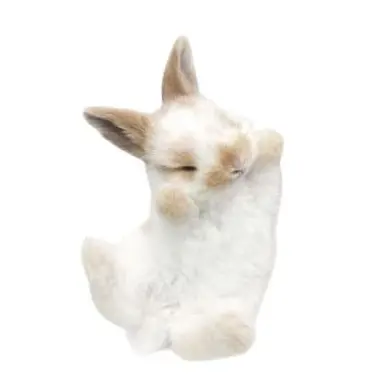 Profile image of 최승현