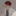 이승빈