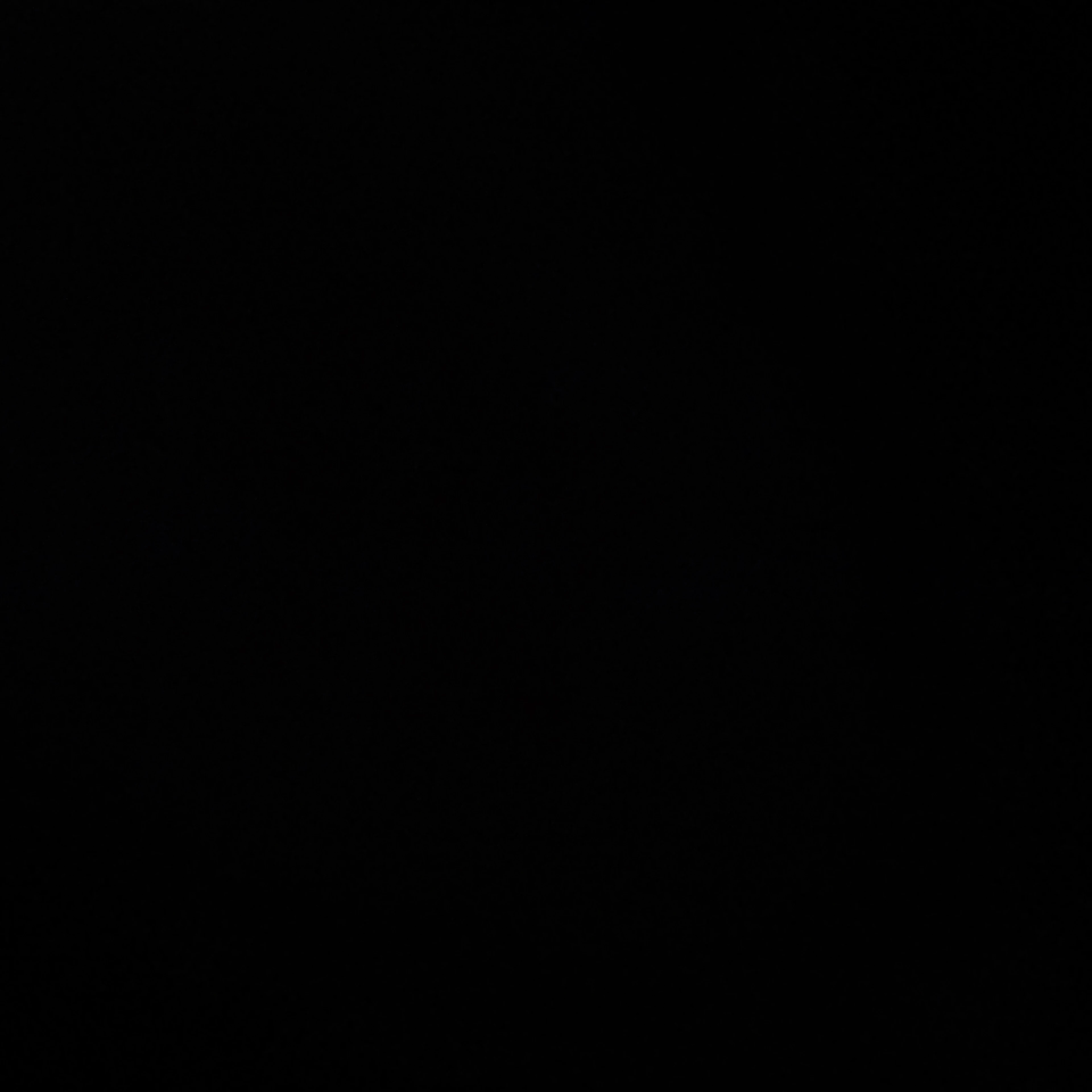 한지성