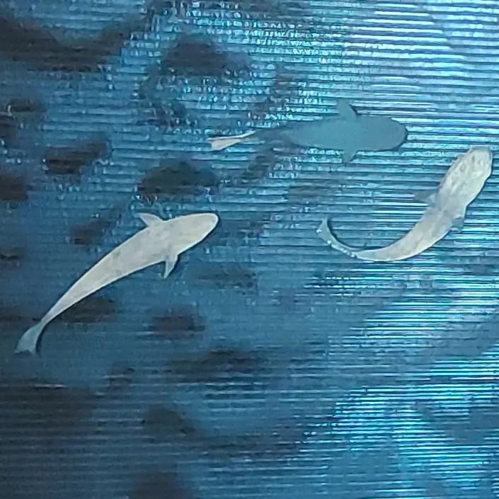 ThinPuli9334의 언더웹