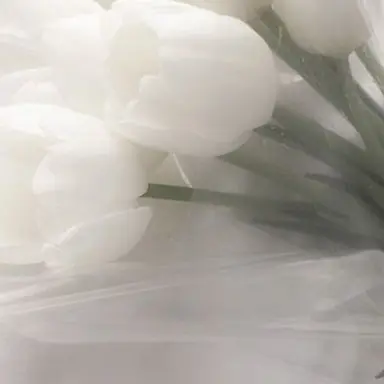 Profile image of 신승아