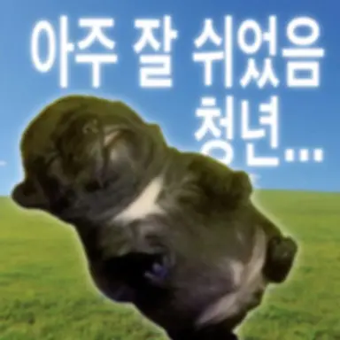 Profile image of 바니