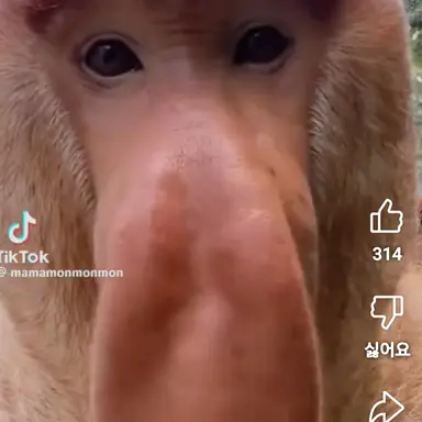 Profile image of 김여우