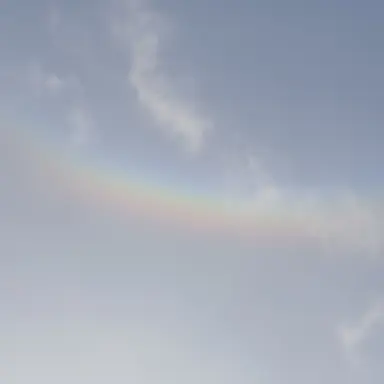 Profile image of 일찐