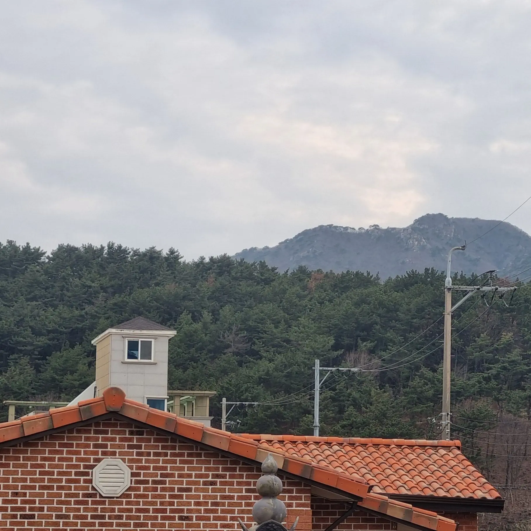 DeepRhea2677의 유명한 남사친