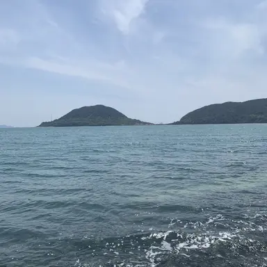 Profile image of 한서린