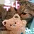 루나집사