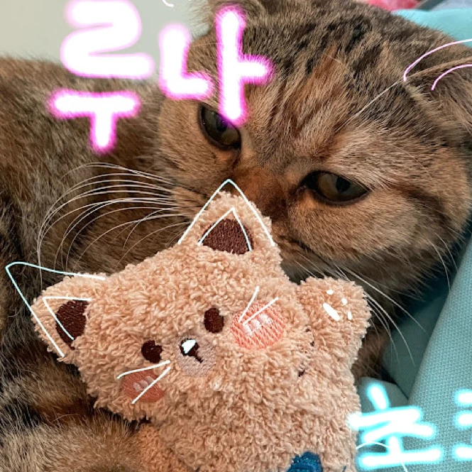 루나집사